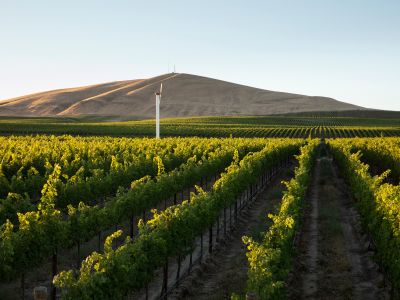 Lucien Albrecht Cremant Brut 2020