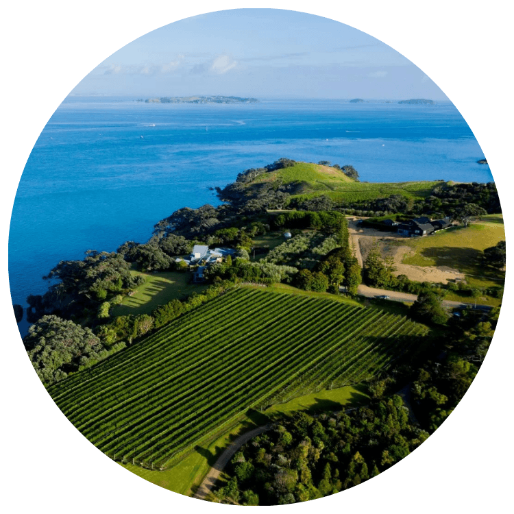 Famille Fabre vineyard