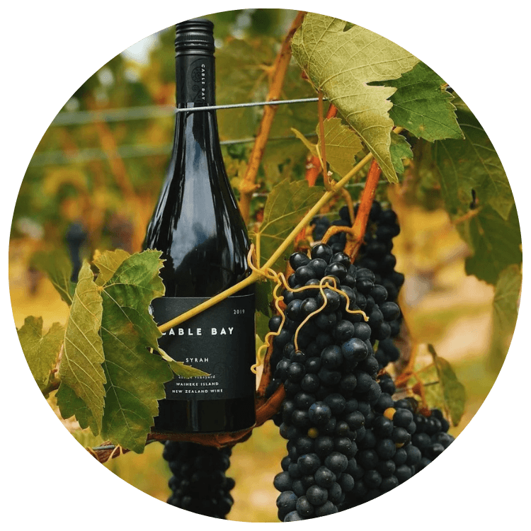 Snake + Herring winery